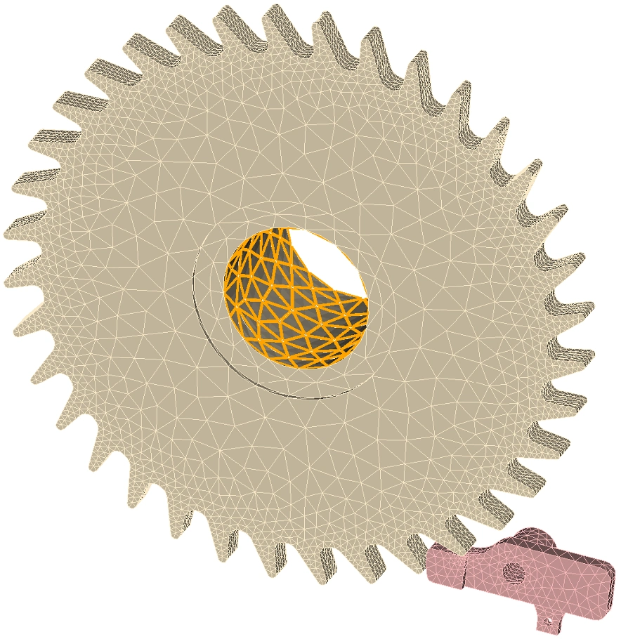 Finite-element mesh of the hold pawl and ratchet wheel