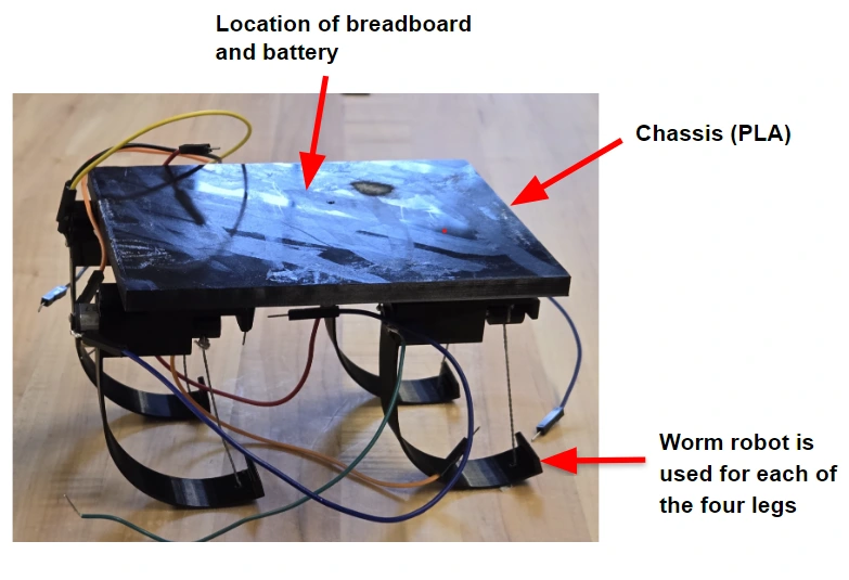 Annotated quadruped prototype with four curved spring legs